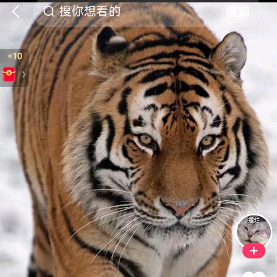 抖音用户