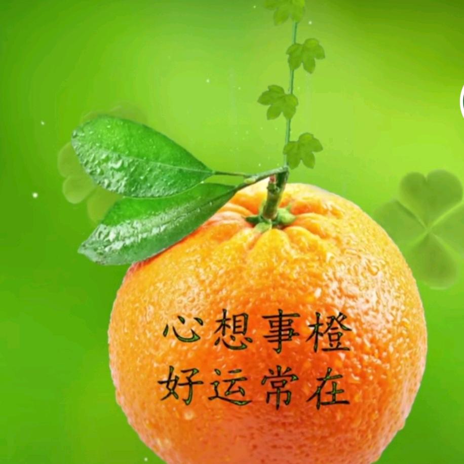 玖利日用百货好货店