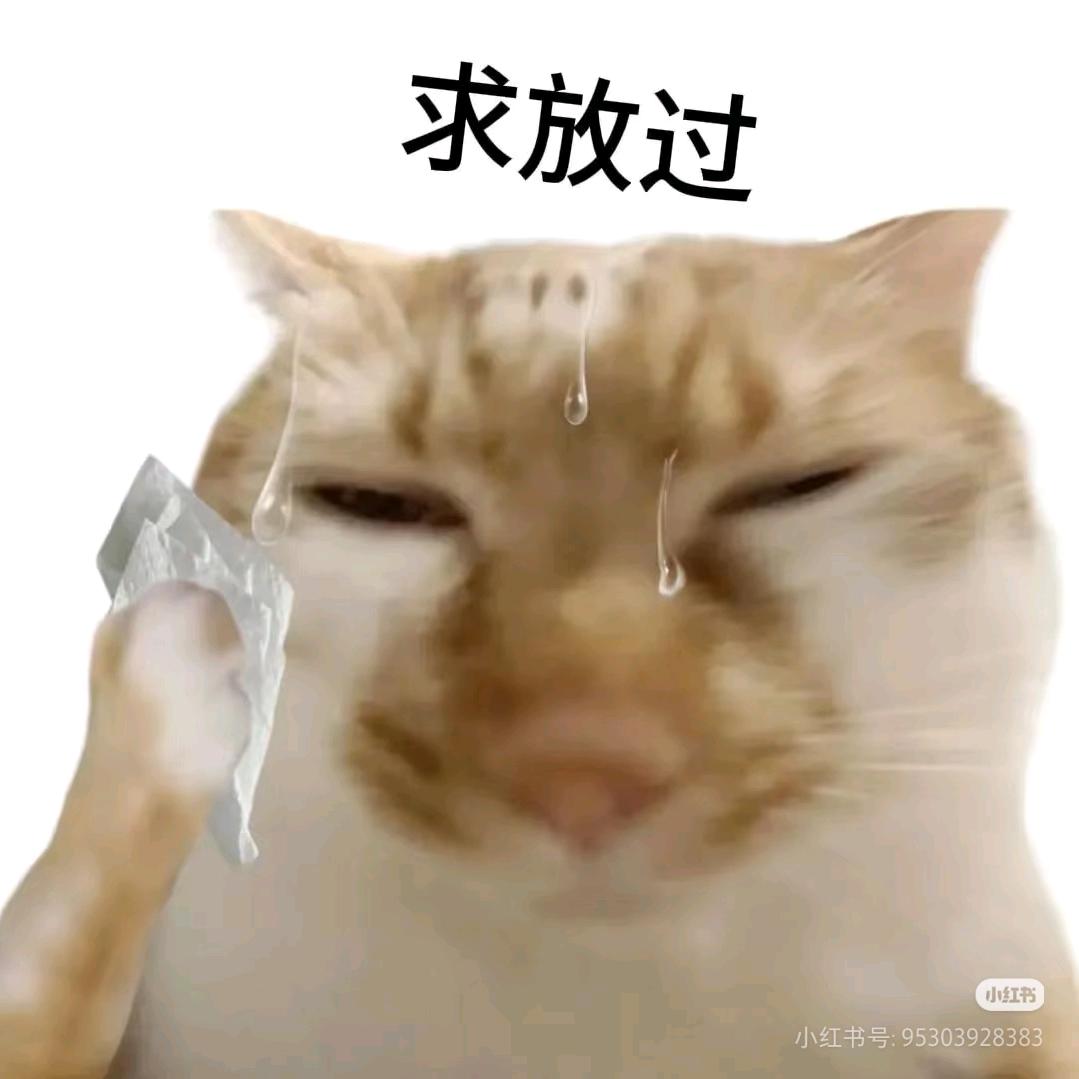 哲哲哲哲哲哲