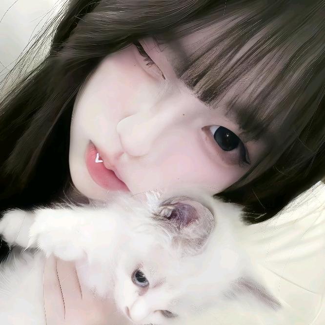 猫爪泡芙