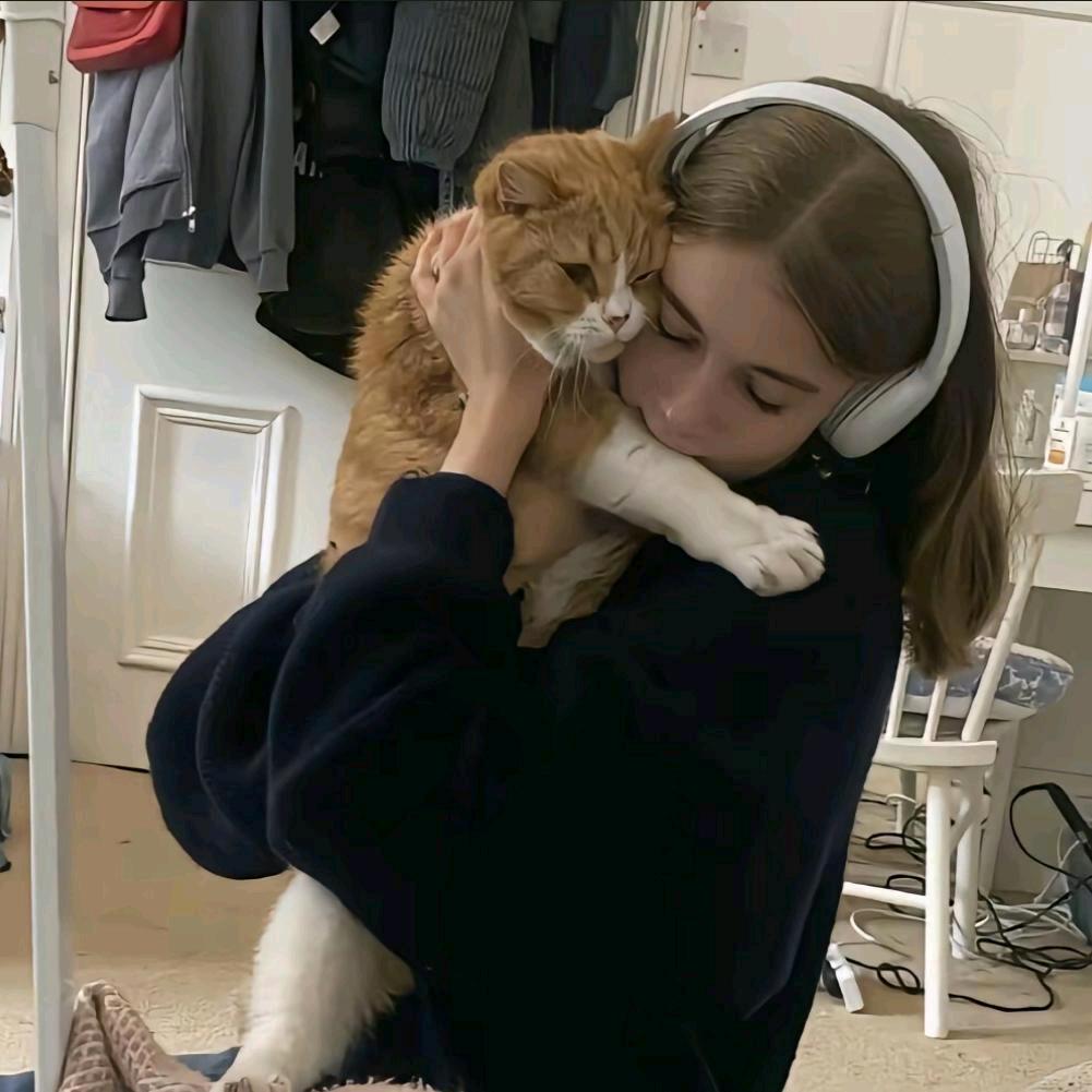 西西的装修日记