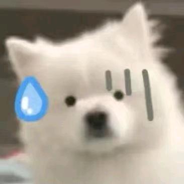 404精神病院SVIP