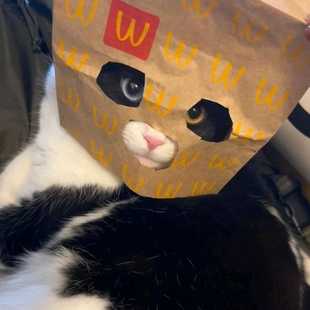 Tin