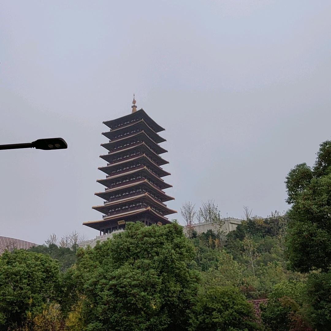 胖墩小伟🤨