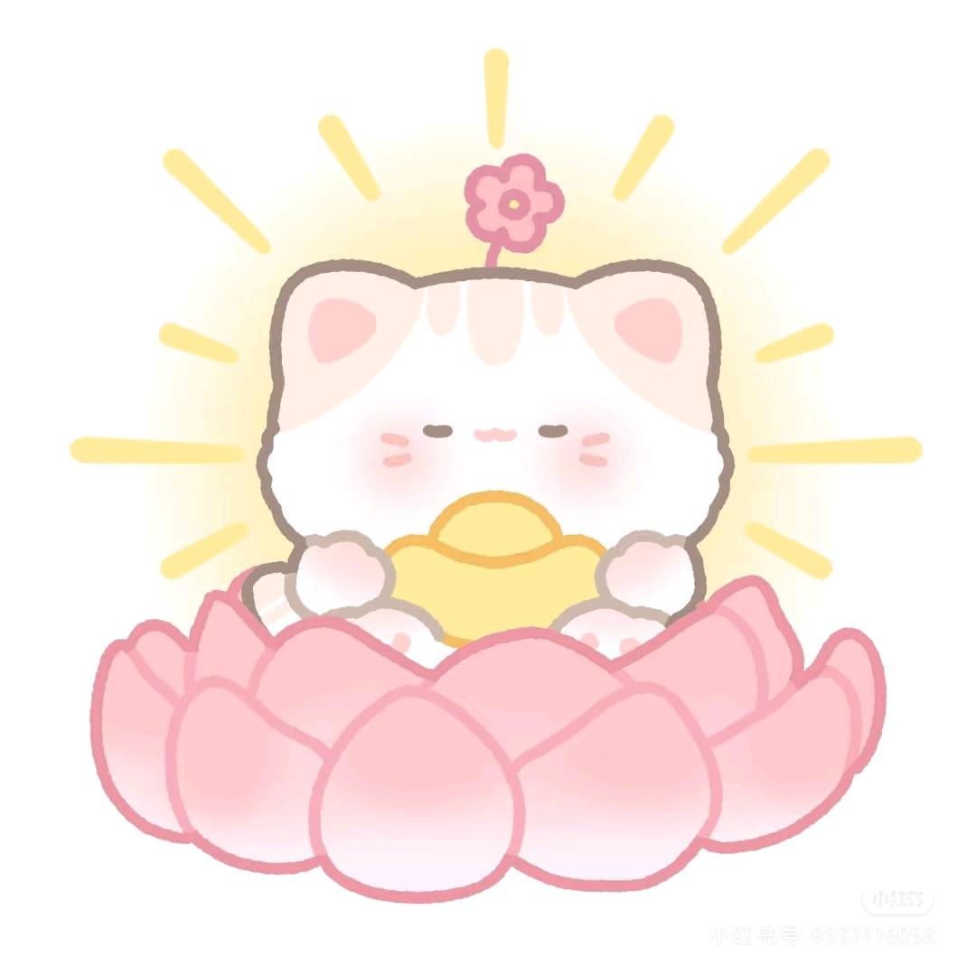 小李好物分享🙅☕