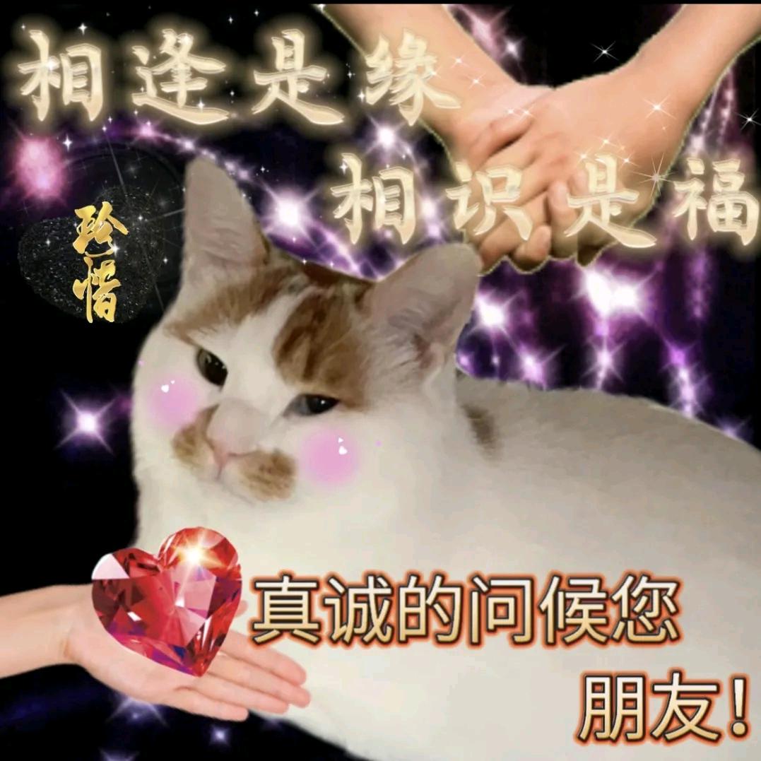 圆滚滚滚滚红尘