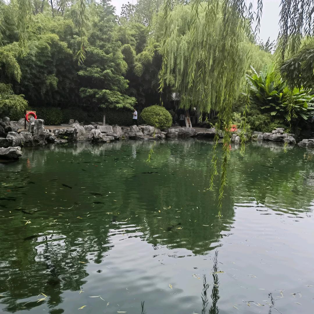 溜溜哒哒🇨🇳小老头