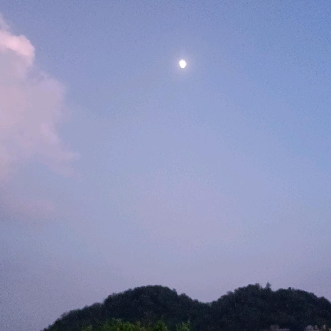 燕