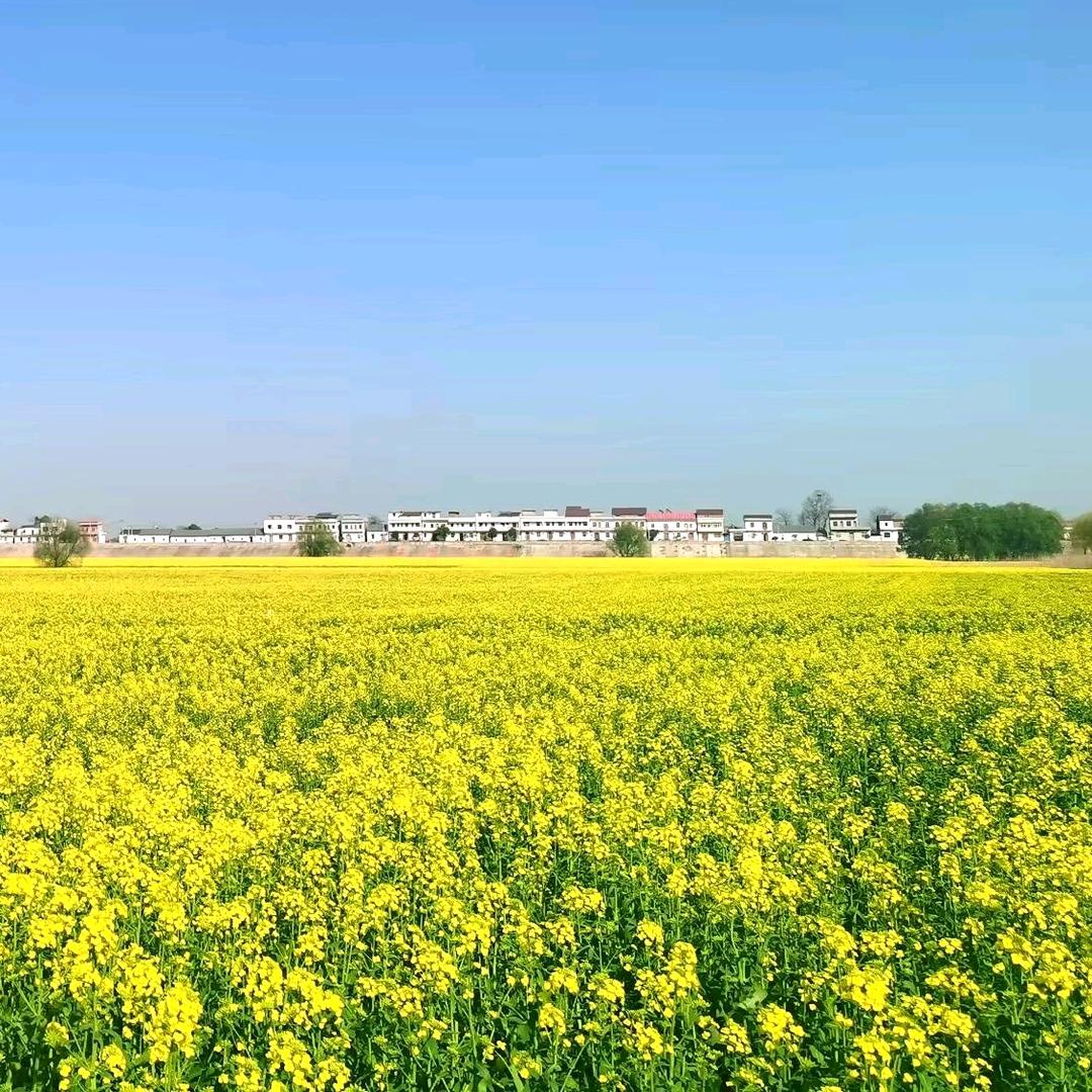 江南水乡
