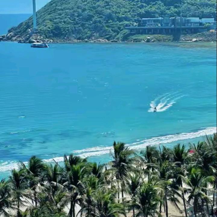 天琴
