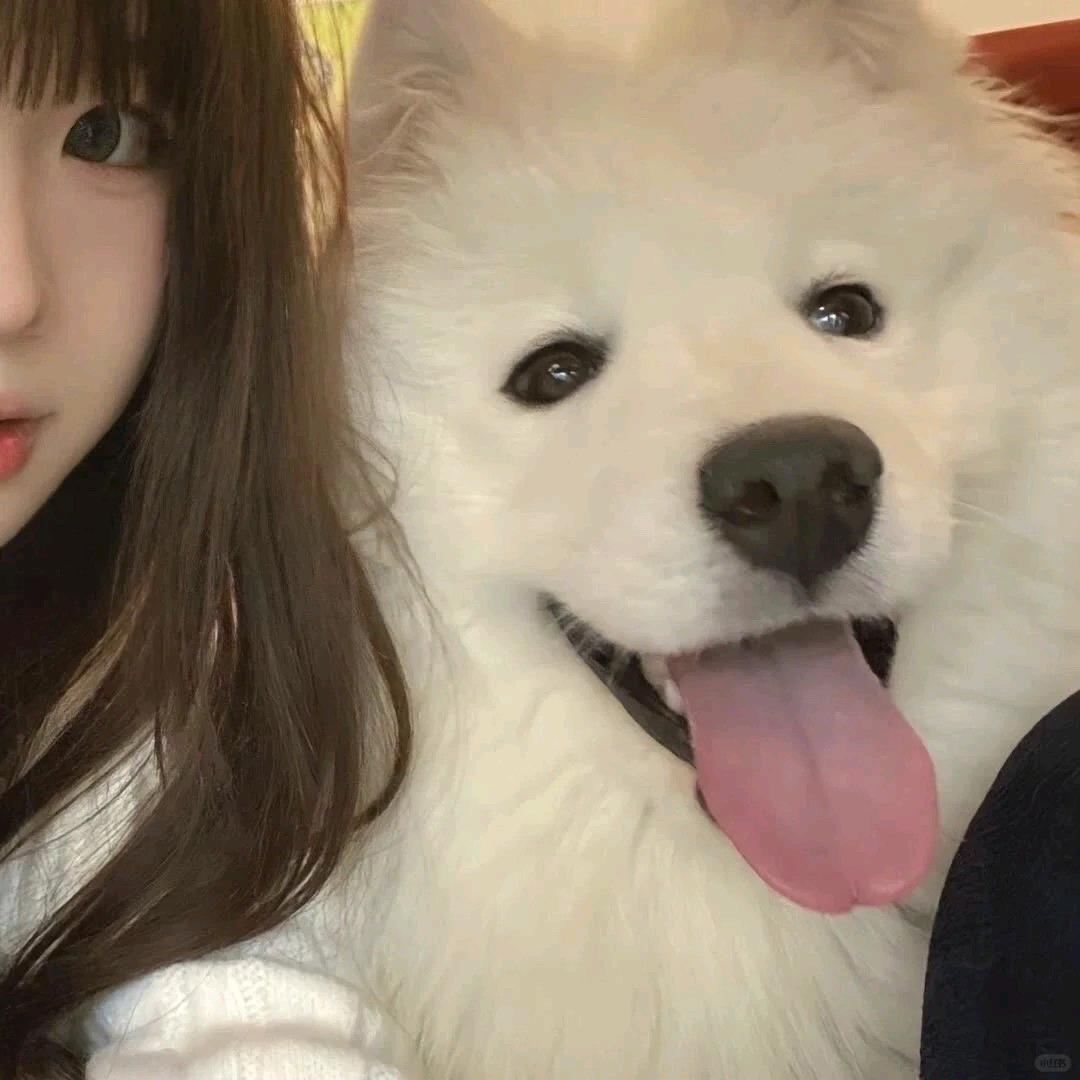 南桅.