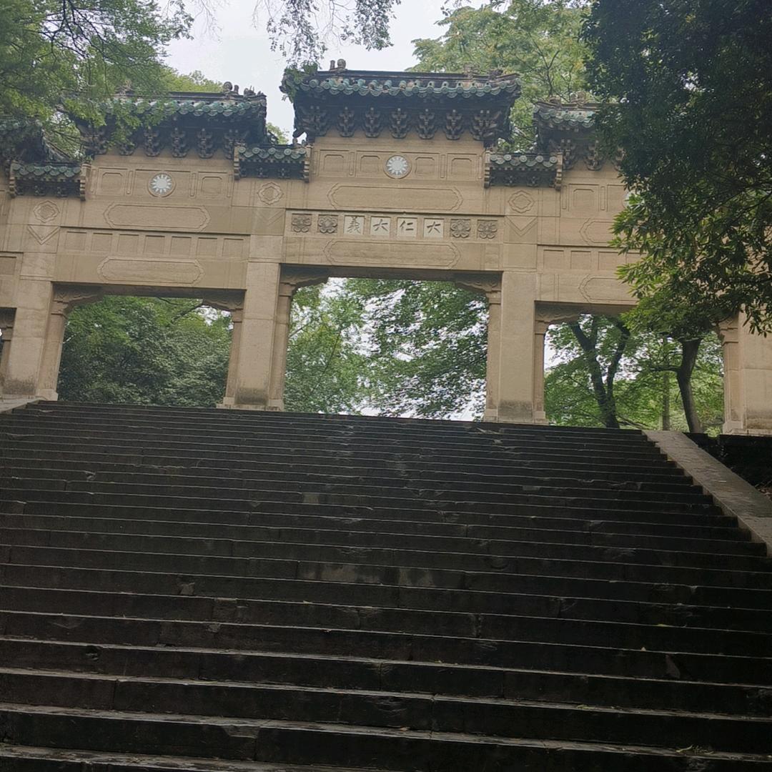 穿山甲