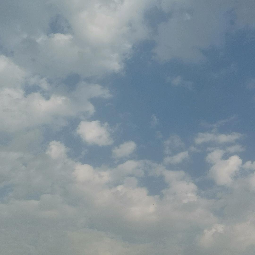 LXT米饭