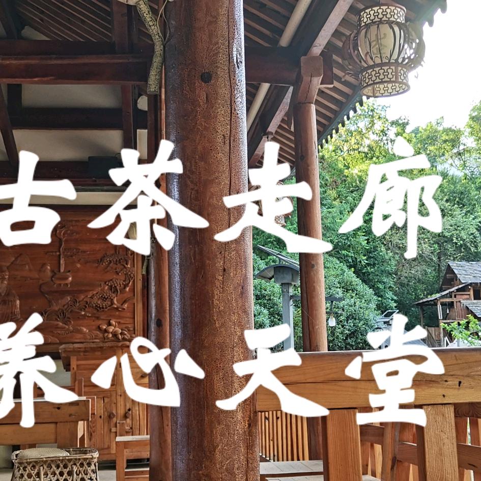 凤庆古茶走廊茶修精舍
