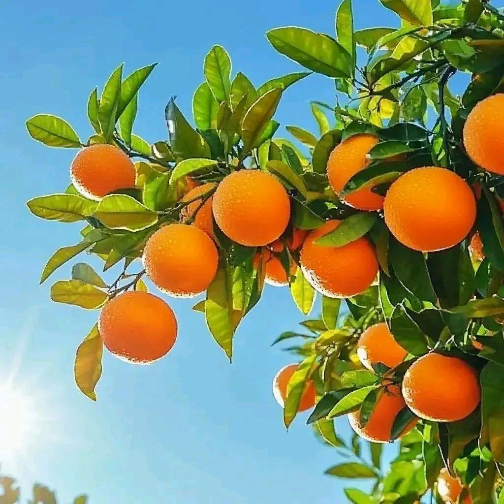 与你并肩前行