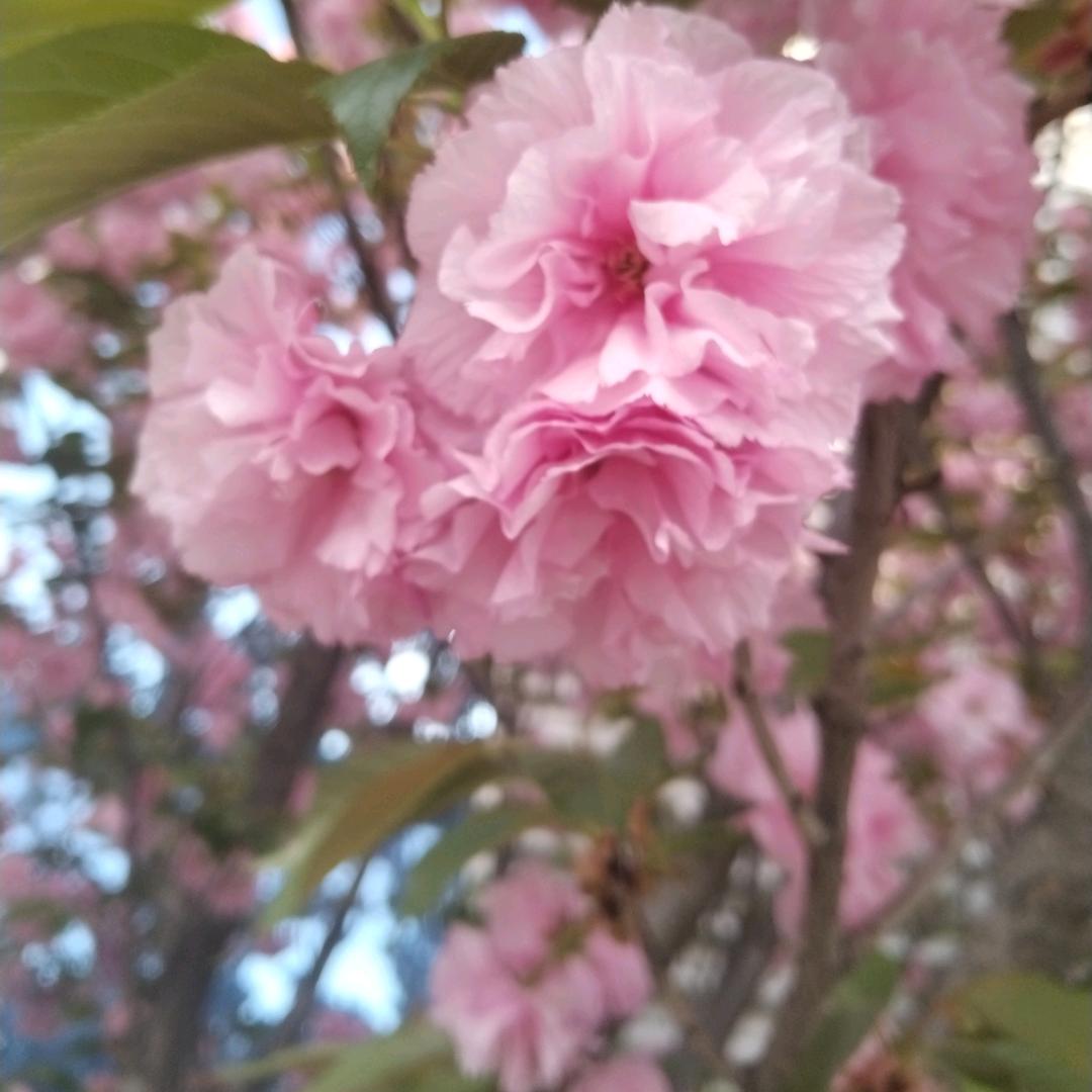 优然无虑
