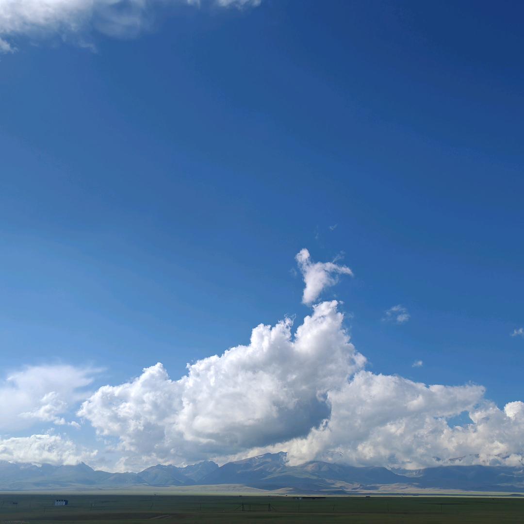 小小的太阳☀️☀️