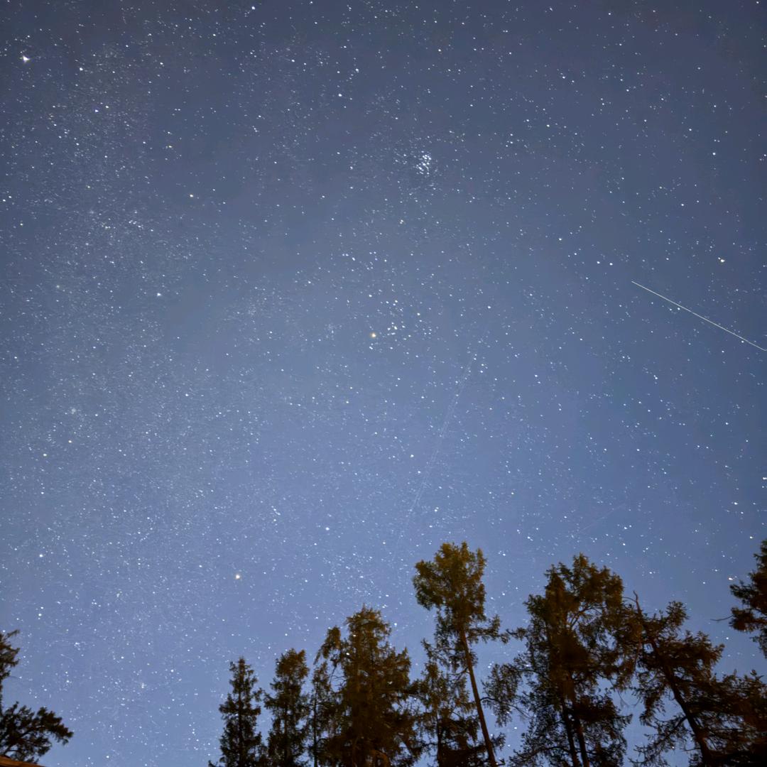 努力学习，天天向上