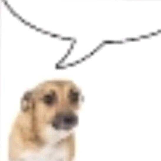 愚之渔