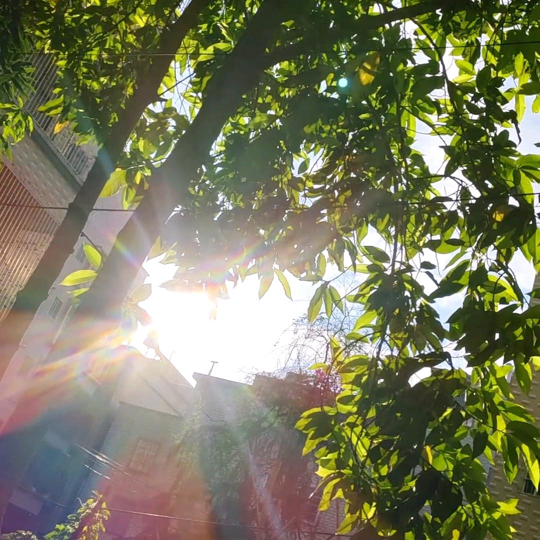 幸福，很奈斯""