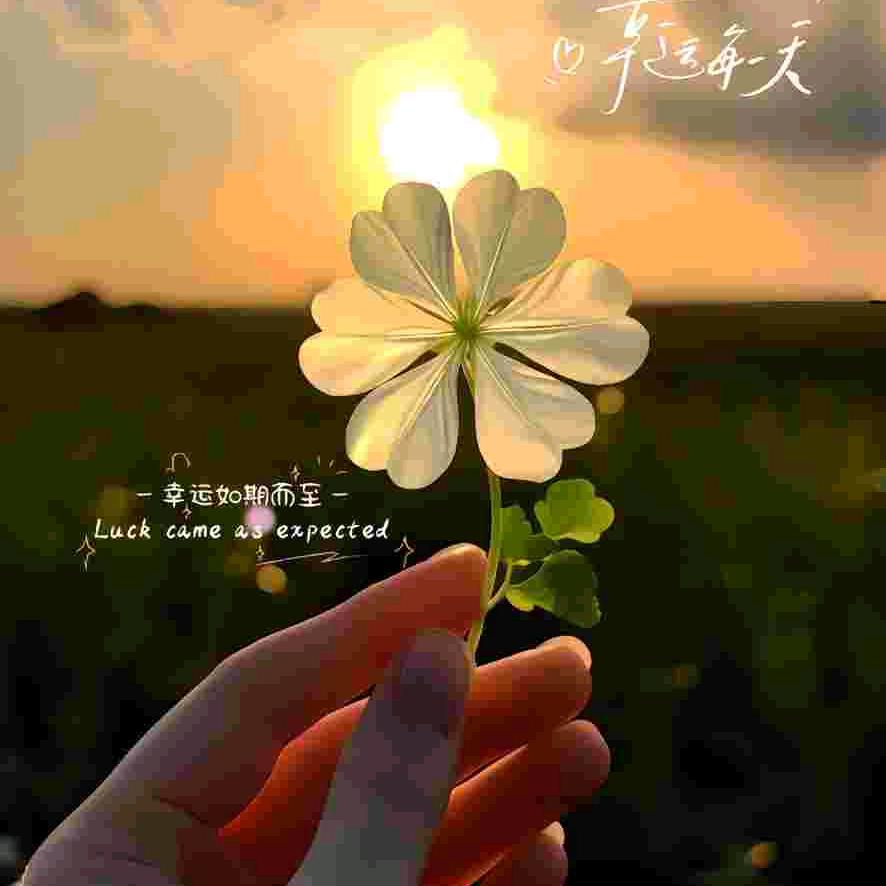 满眼笑意
