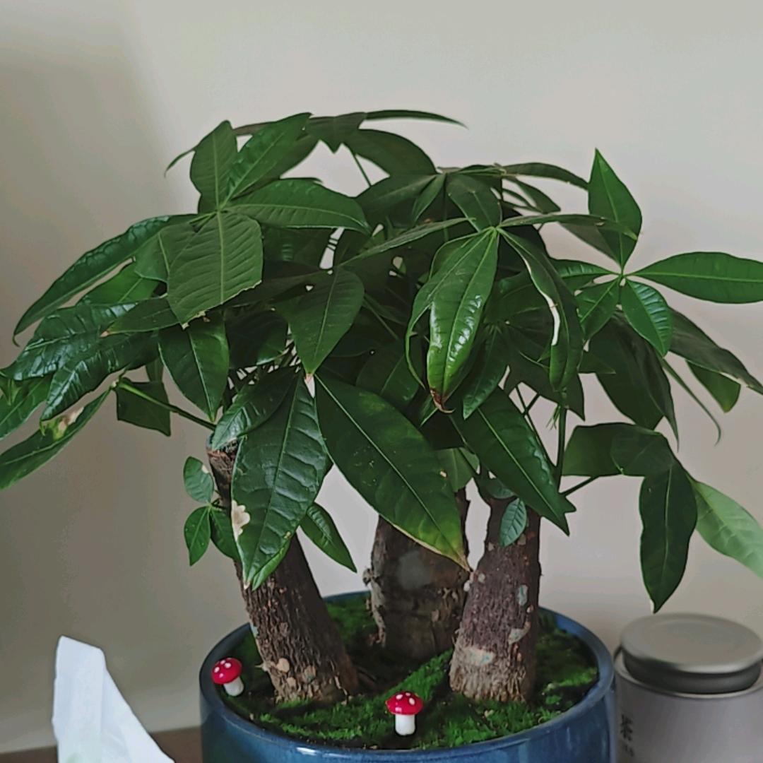 一将功成万骨枯