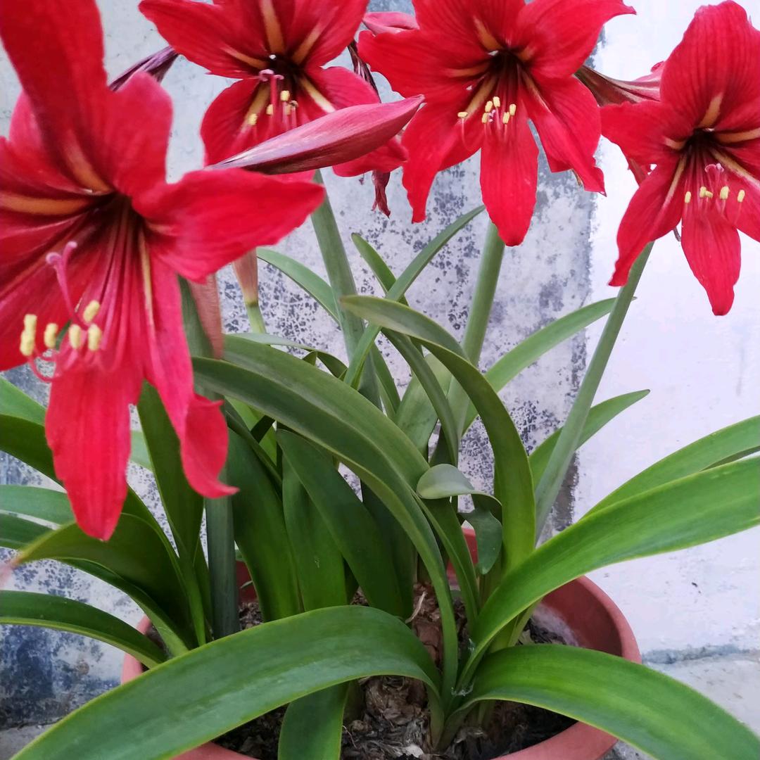 尊重他人命运，放下助人情结。