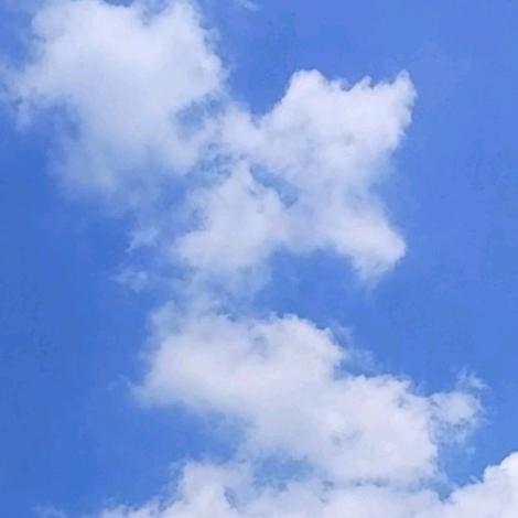 ☀️白天