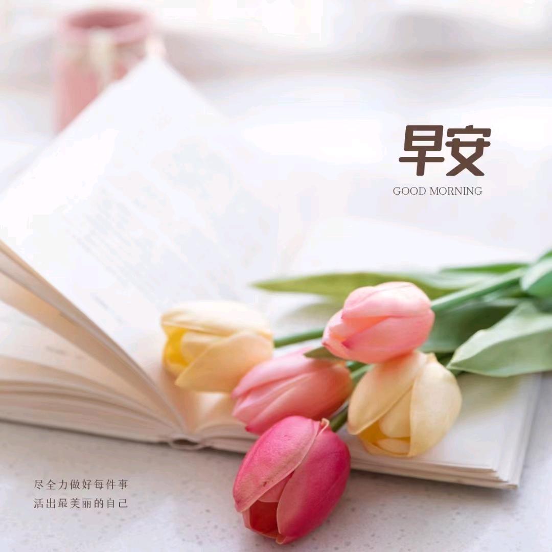 菲儿①