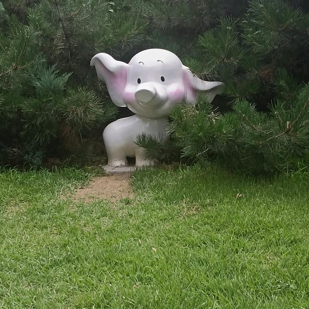 丹