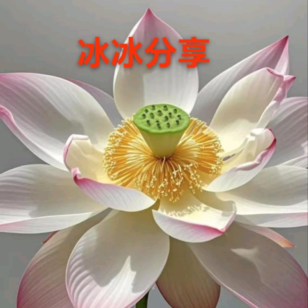 冰冰
