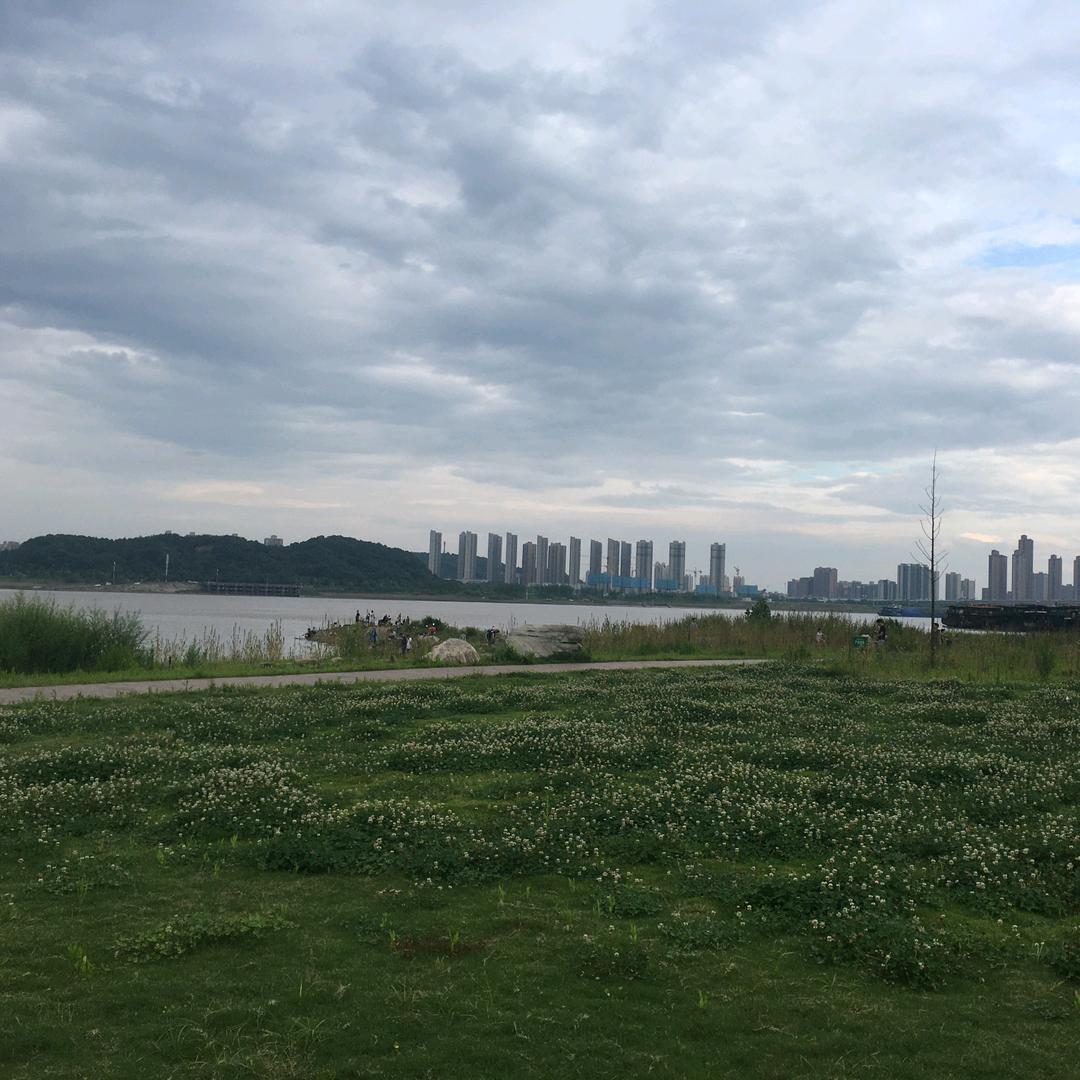 天天都在
