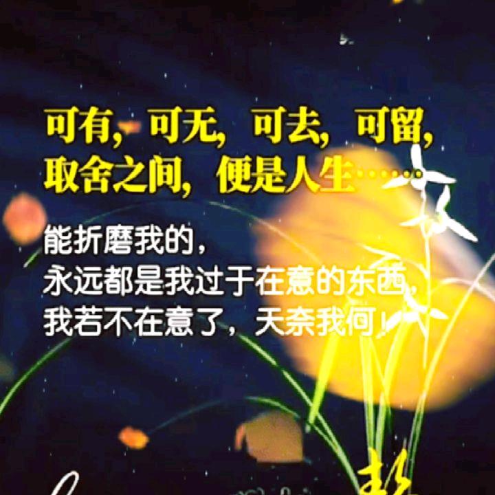 遇忘💘过往💞