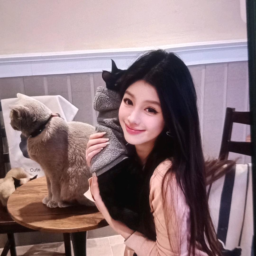 丹妮儿il