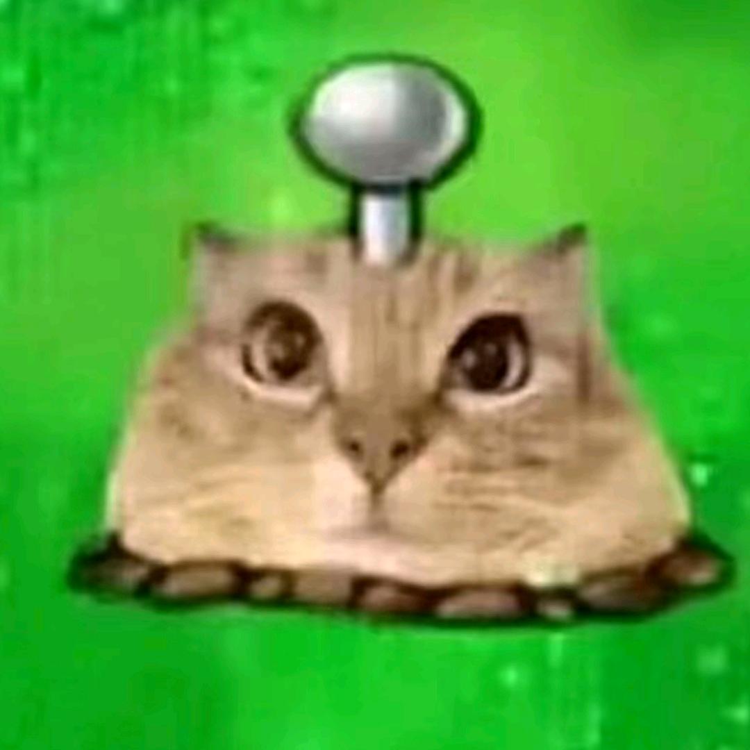 我是一个河南人