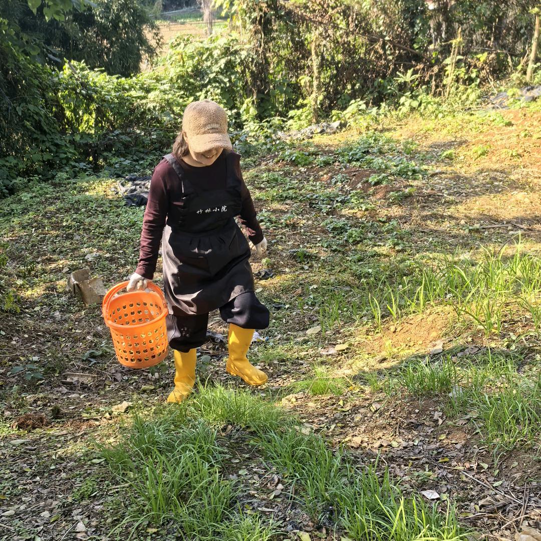 竹林小院（小院主理人）