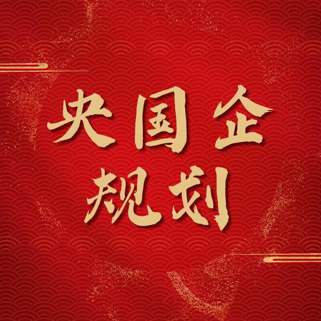 央国企求职聂主任