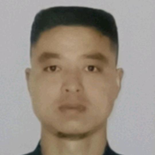 老何家的奉节脐橙