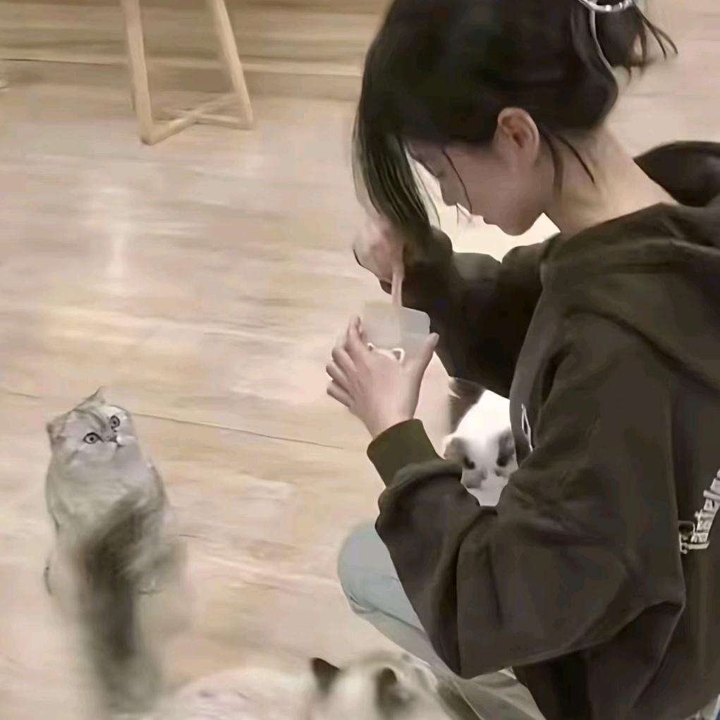 止不住心动 〽️