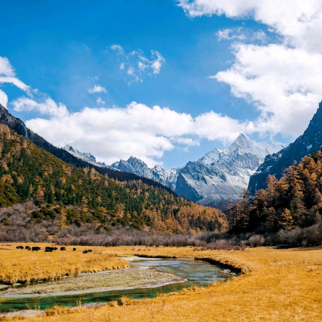 ༄༅།།འཁོར་བ་པ་་་་་་་་