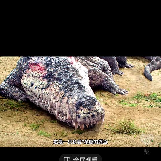 八脚巨鳄头像