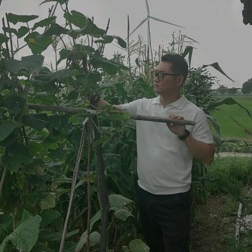 山阳木子李砂锅！炒饭（莲花市集）