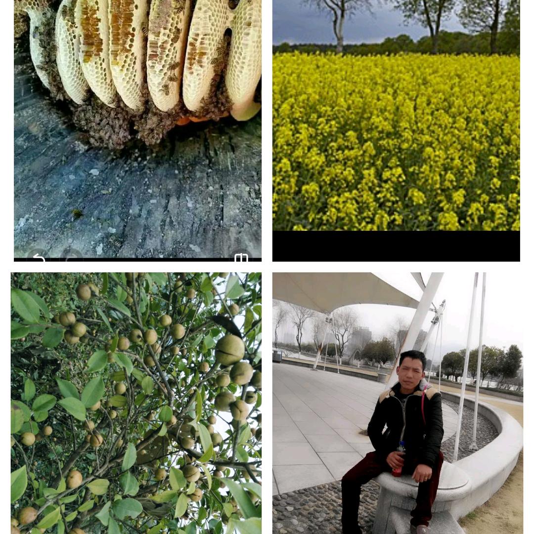 小垄山茶油，菜籽油，土蜂蜜直销