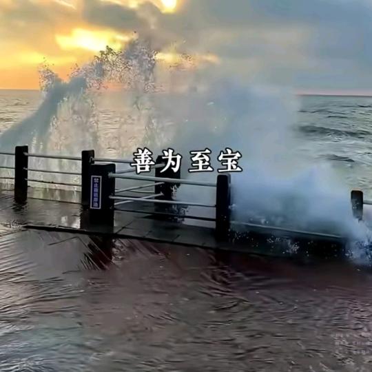 高山9999