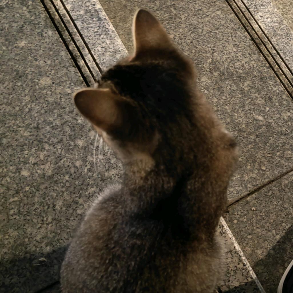 叫叫睡不醒_cure