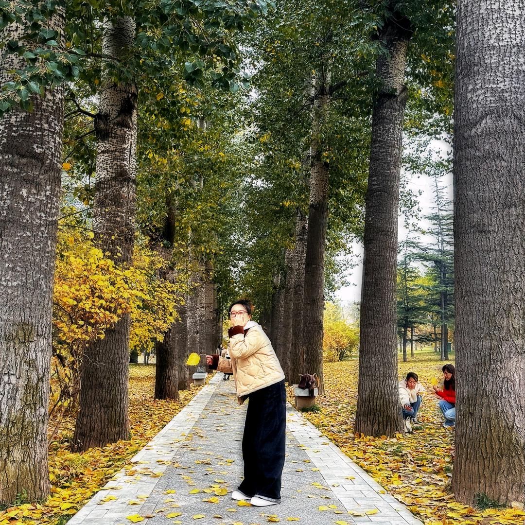 倩倩的家（软装中）