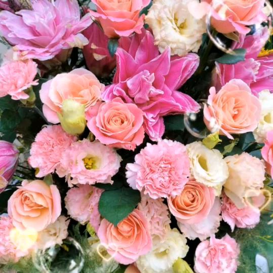 ꧁茉🕊莉🕊花ℒᎭℯ⃝🕊