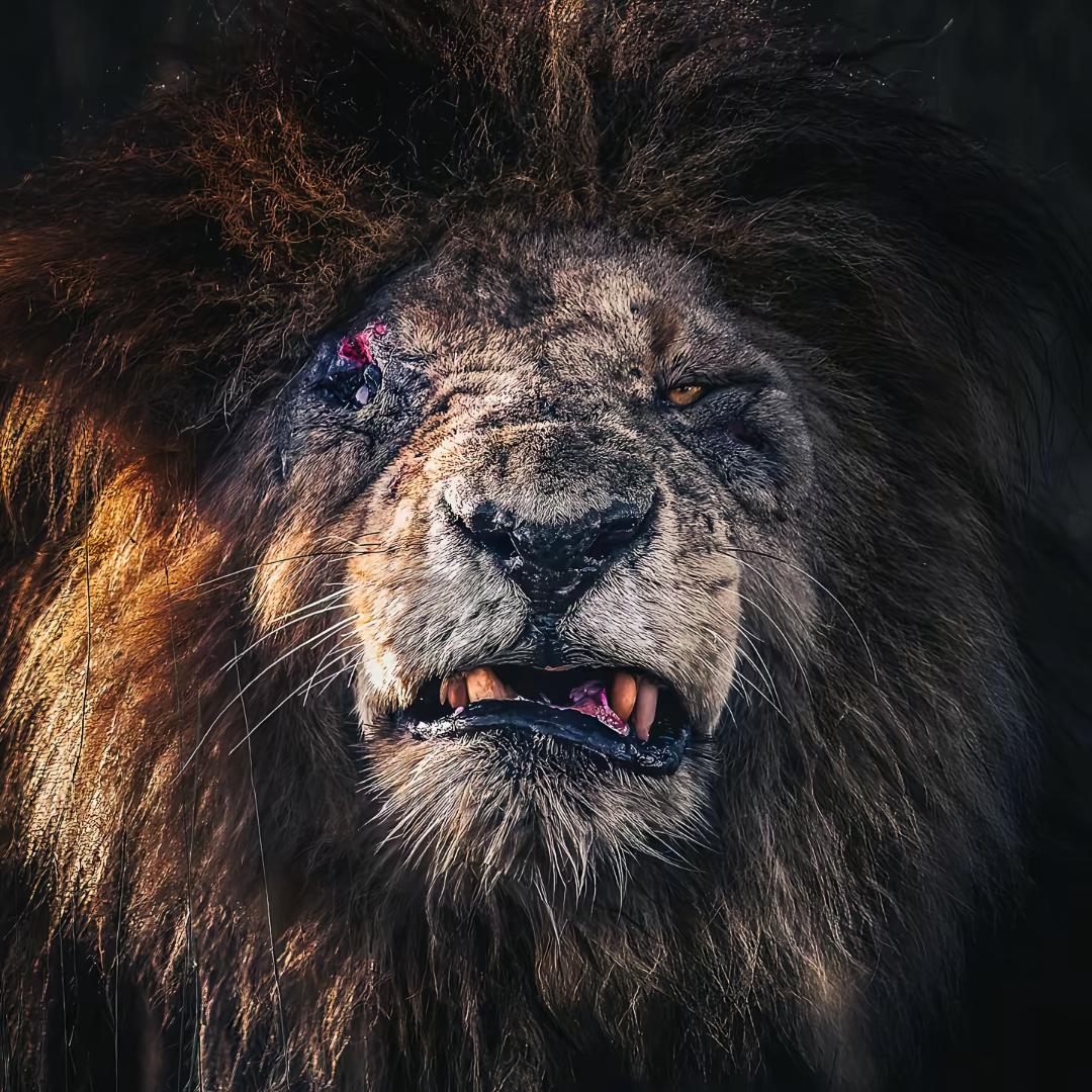 葉-沢（接配音商单）1万粉女装