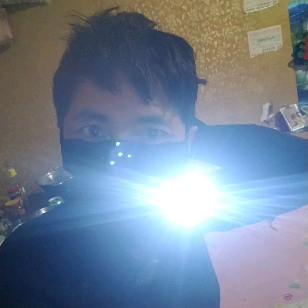 掌上明珠矯飞燕