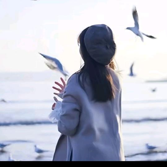 月亮🌙⭐️